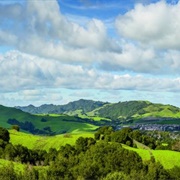 Bishop Ranch Open Space Regional Preserve