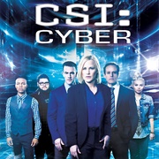 CSI: Cyber (2015-2016)