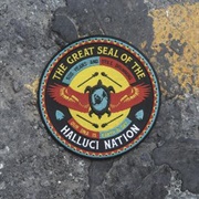 The Halluci Nation - We Are the Halluci Nation (2016)