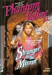 Stranger in the Mirror (Lynn Beach)