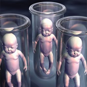 Human Clones
