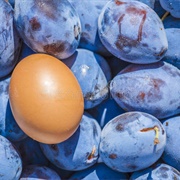 Egg and Prune