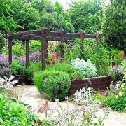 St Mary's Secret Garden