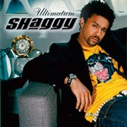 Shaggy – Ultimatum