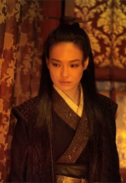 The Assassin (2015)