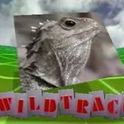 Wildtrack