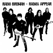 Radios Appear - Radio Birdman
