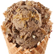 Bruster's Chocolate Peanut Butter Pretzel Ice Cream