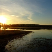Port Meadow Oxford
