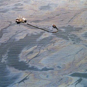 Exxon Valdez Oil Spill