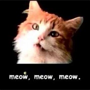 Meow Mix Commercials
