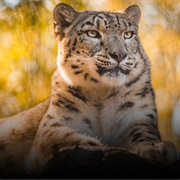 Toledo Zoo & Aquarium, Ohio, USA