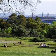 Parque Florestal De Monsanto, Lisbon, Portugal