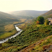 Forest of Bowland