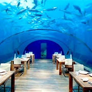 Ithaa Undersea Restaurant, Rangali Island, Maldives