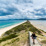 The Neck, Bruny Island, TAS