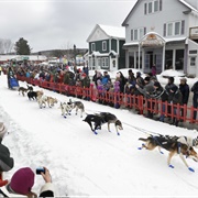 Watch the Start of the Can Am Dog Sled Race in Fort Kent