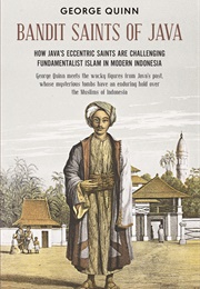 Bandit Saints of Java (George Quinn)