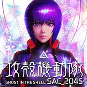 Ghost in the Shell: SAC_2045