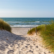Swim in the Baltic Sea