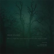 David Sylvian - There's a Light That Enters Houses With No Other House in Sight