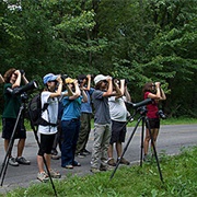 Bird Watching Club