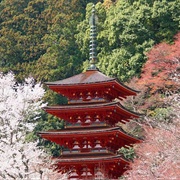 Hasedera Temple, Nara