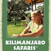 Kilimanjaro Safaris - Animal Kingdom