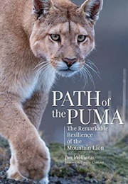 The Path of the Puma (Williams, Jim)