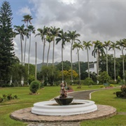 Royal Botanic Gardens, Port of Spain, Trinidad &amp; Tobago
