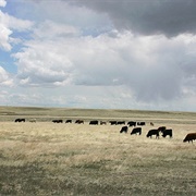 Central Plains Biosphere Reserve
