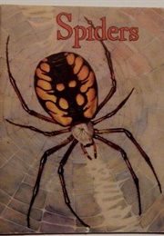 Spiders (Janet Halfmann)