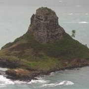 Mokoliʻi