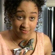 The Tale of the Chameleons