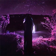 Sidewalks and Skeletons - Entity