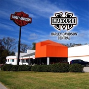 Mancuso Harley-Davidson Central Houston Texas