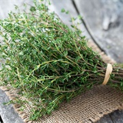 Thyme