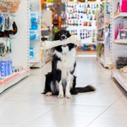 Pet Shop