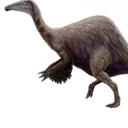 Deinocheirus