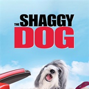 The Shaggy Dog