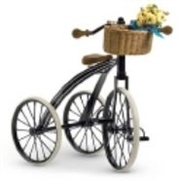 Samantha's Three-Wheeled Bicycle