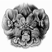 Antillean Ghost-Faced Bat