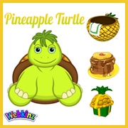 Pineapple Turtle