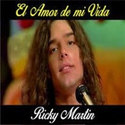 "El Amor De Mi Vida" by Ricky Martin (1991)