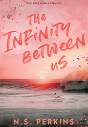The Infinity Between Us (N.S. Perkins)