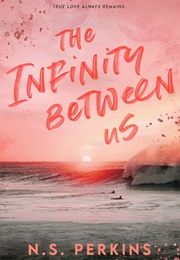 The Infinity Between Us (N.S. Perkins)