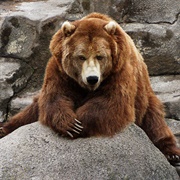 San Antonio Zoo, Texas, USA