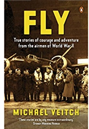 Fly (Michael Veitch)