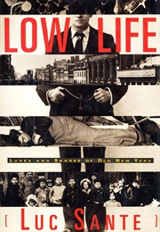 Low Life: Lures and Snares of Old New York (Luc Sante)