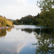 Temescal Regional Recreation Area